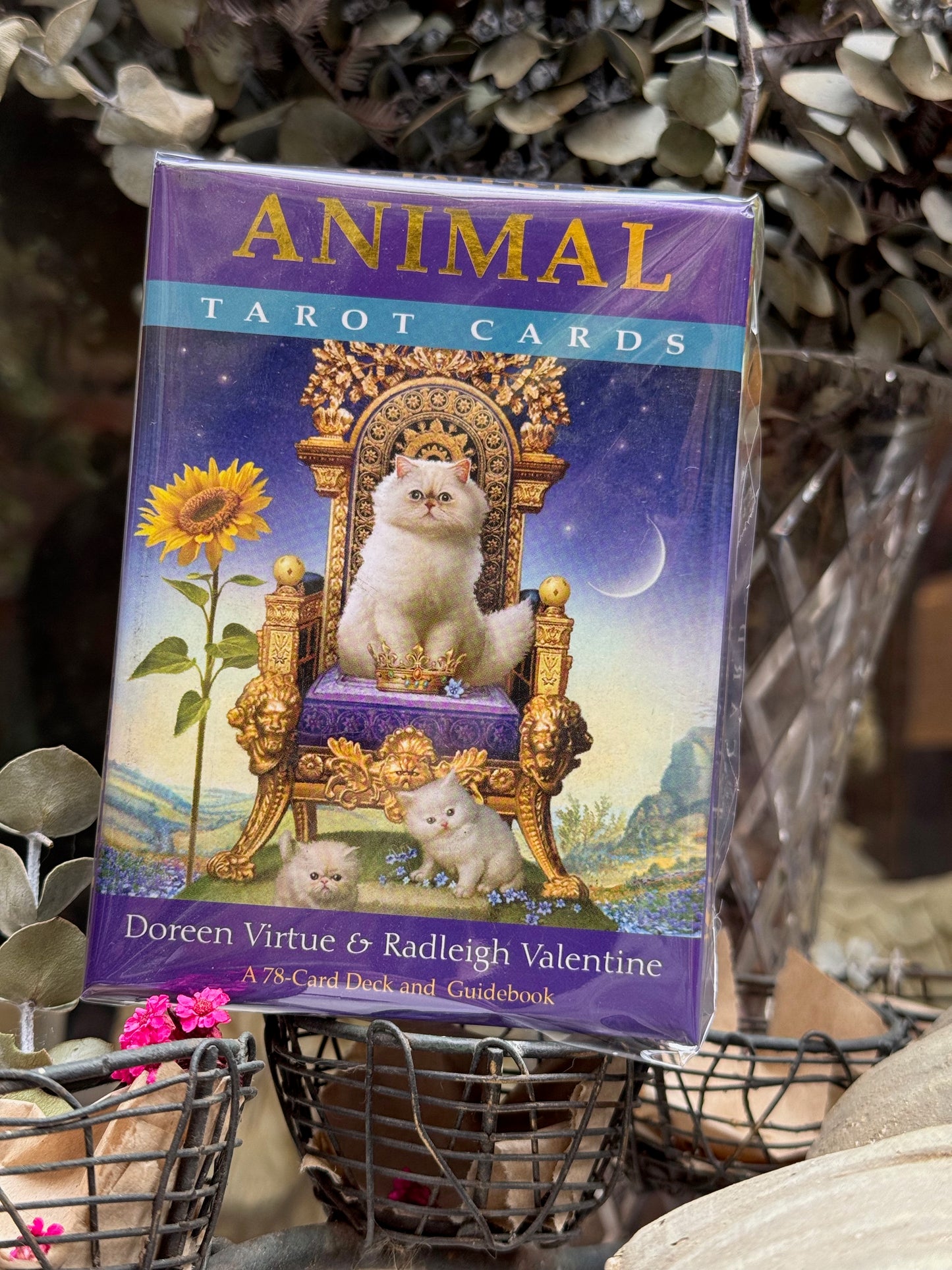 Animal Tarot Cards : A 78-Card Deck and Guidebook (display stock)