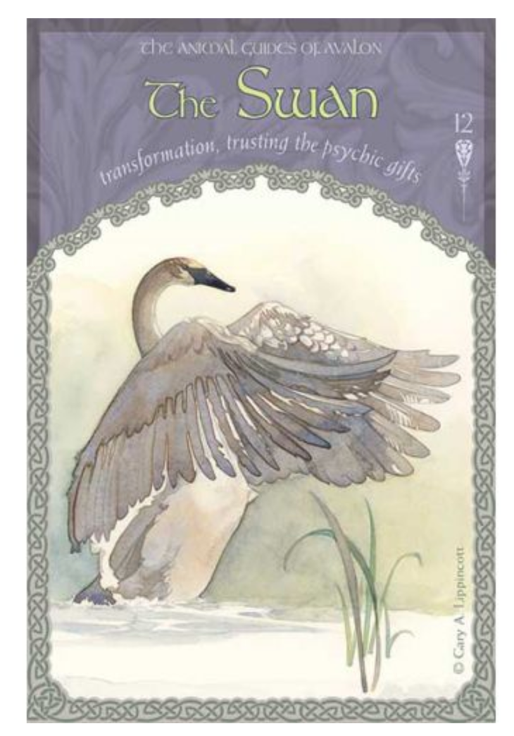 WISDOM OF AVALON ORACLE CARDS