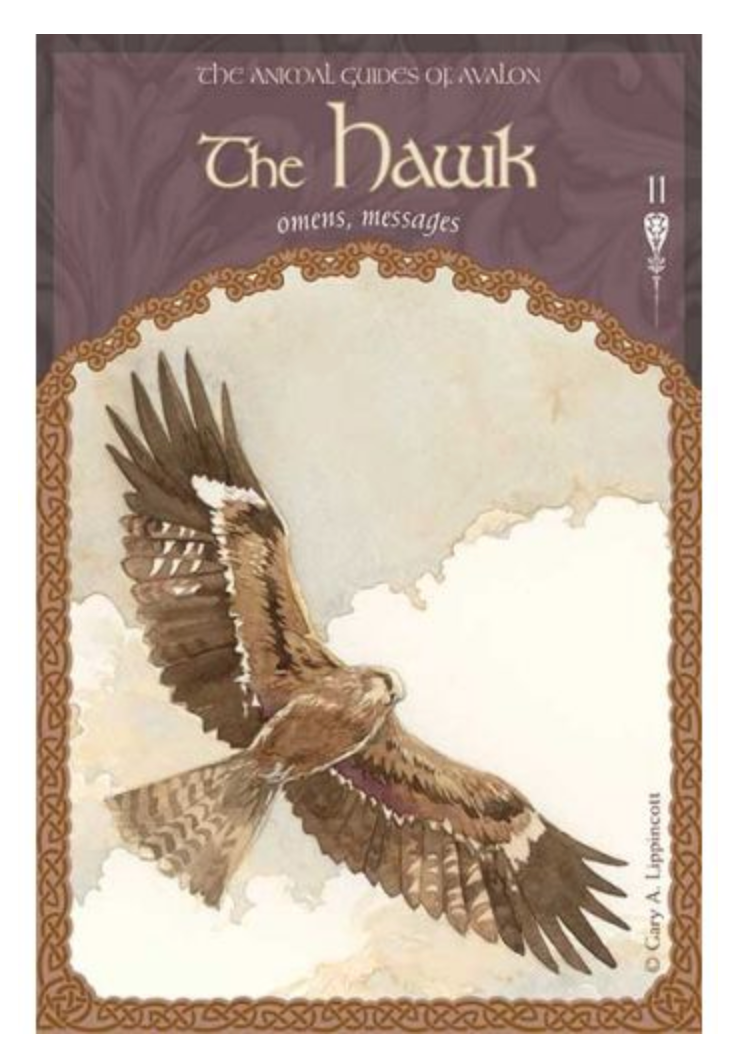 WISDOM OF AVALON ORACLE CARDS