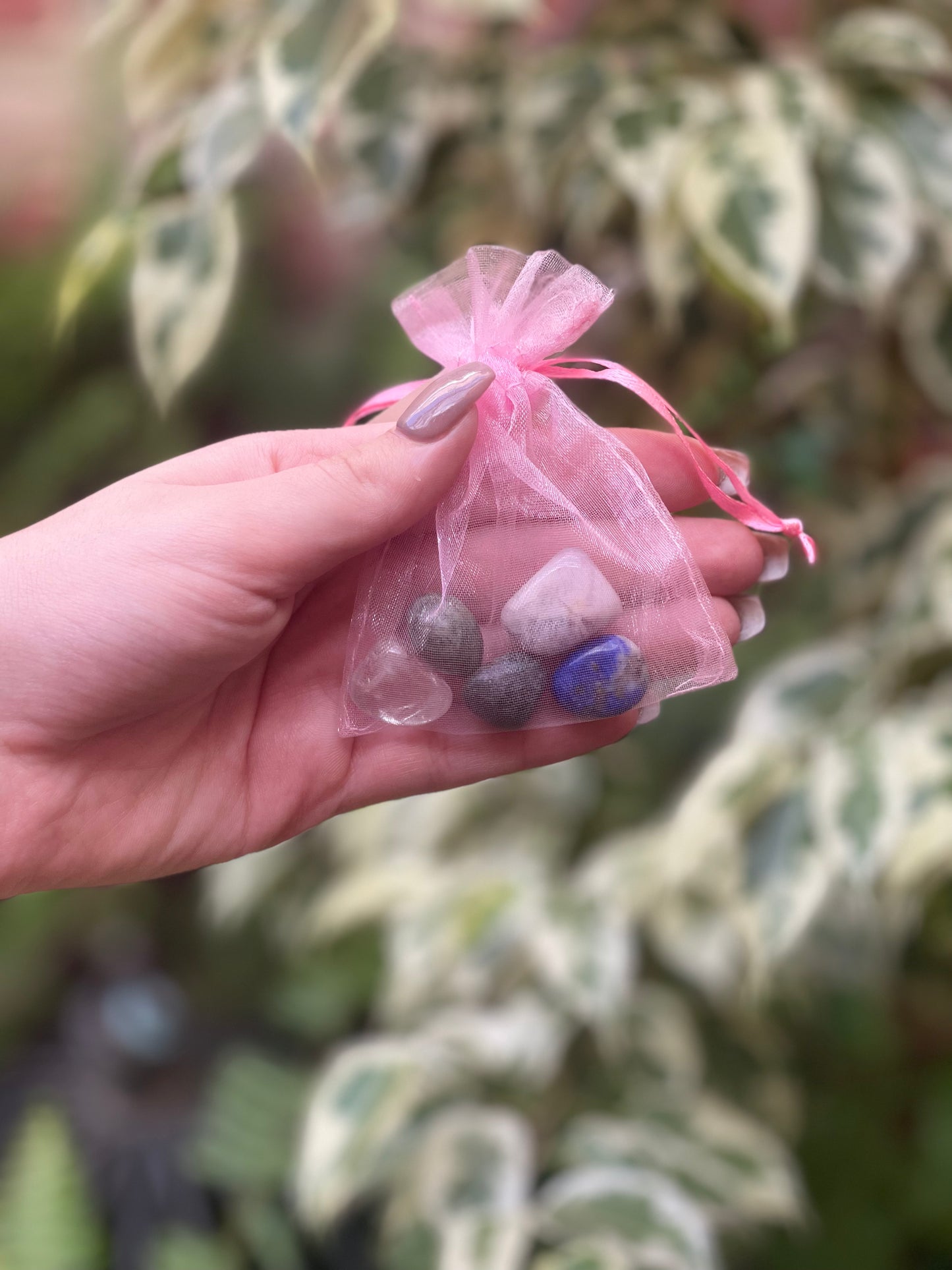 Wellness Crystal Kits