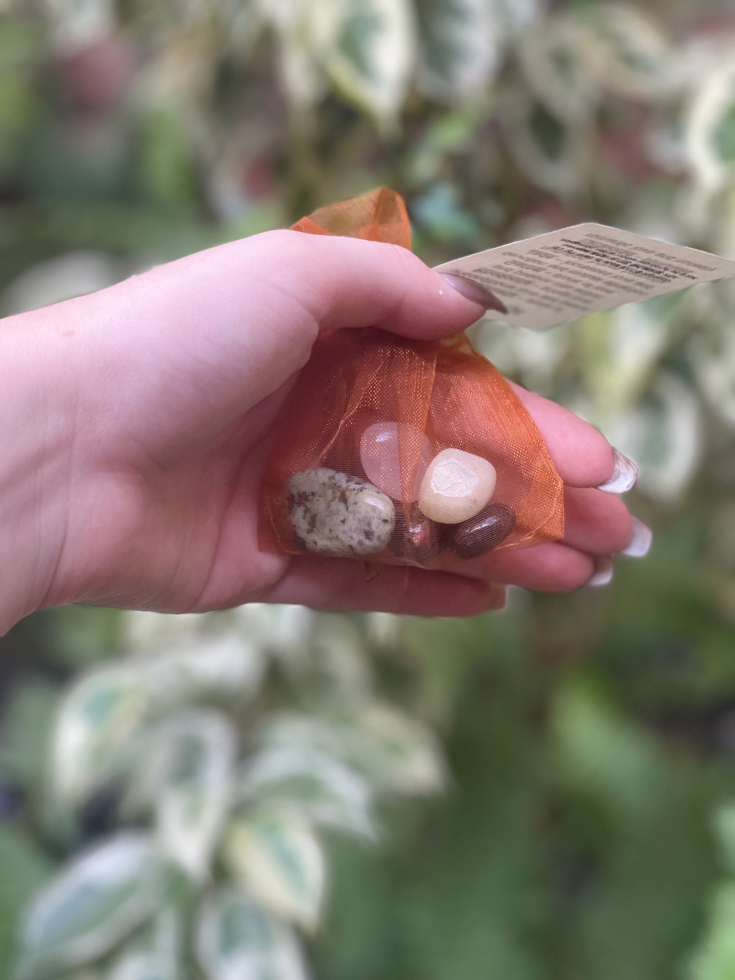 Wellness Crystal Kits