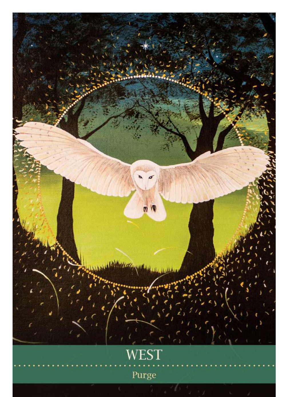 SHAMANIC MEDICINE ORACLE