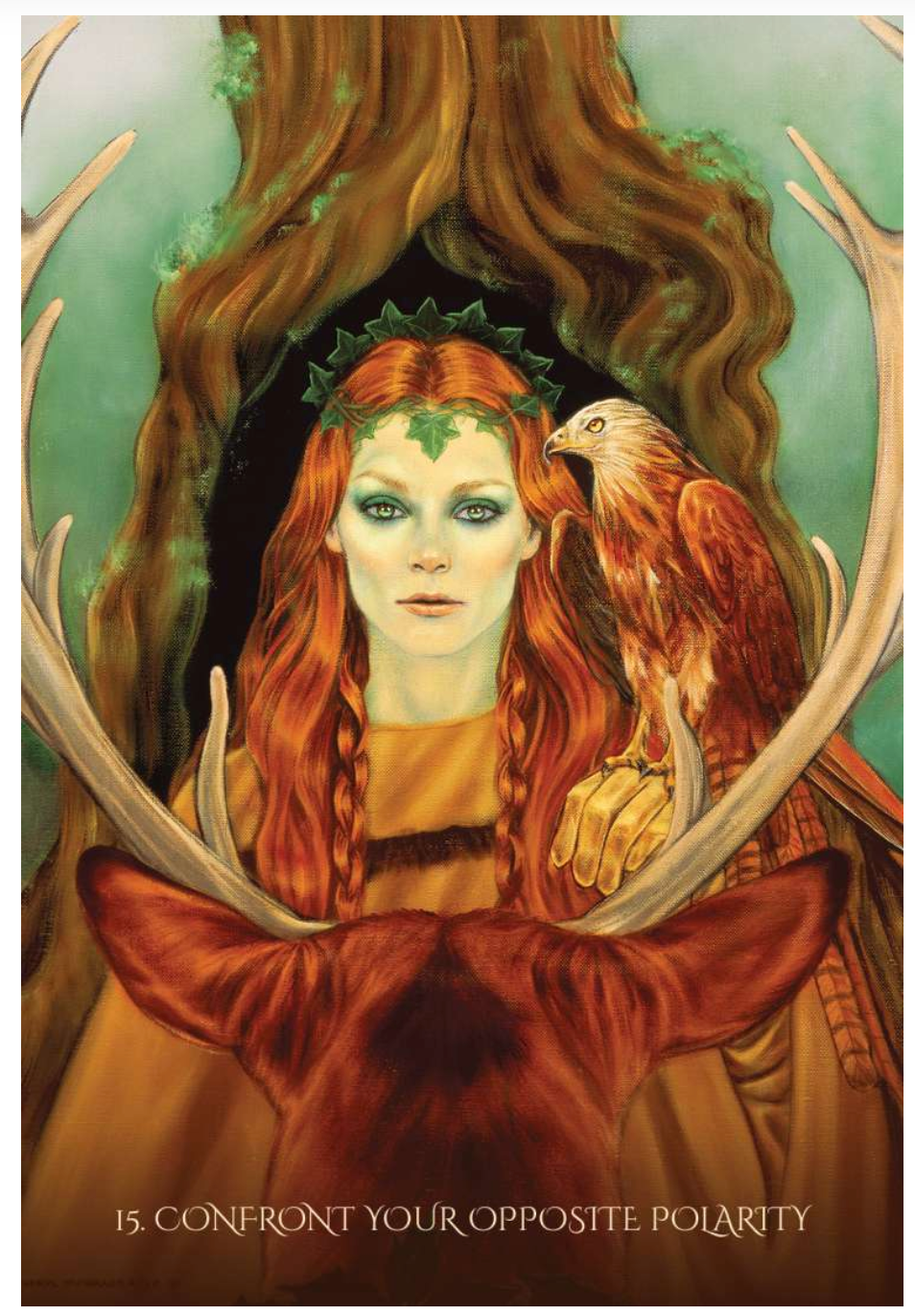 Through the EYES of the SOUL oracle