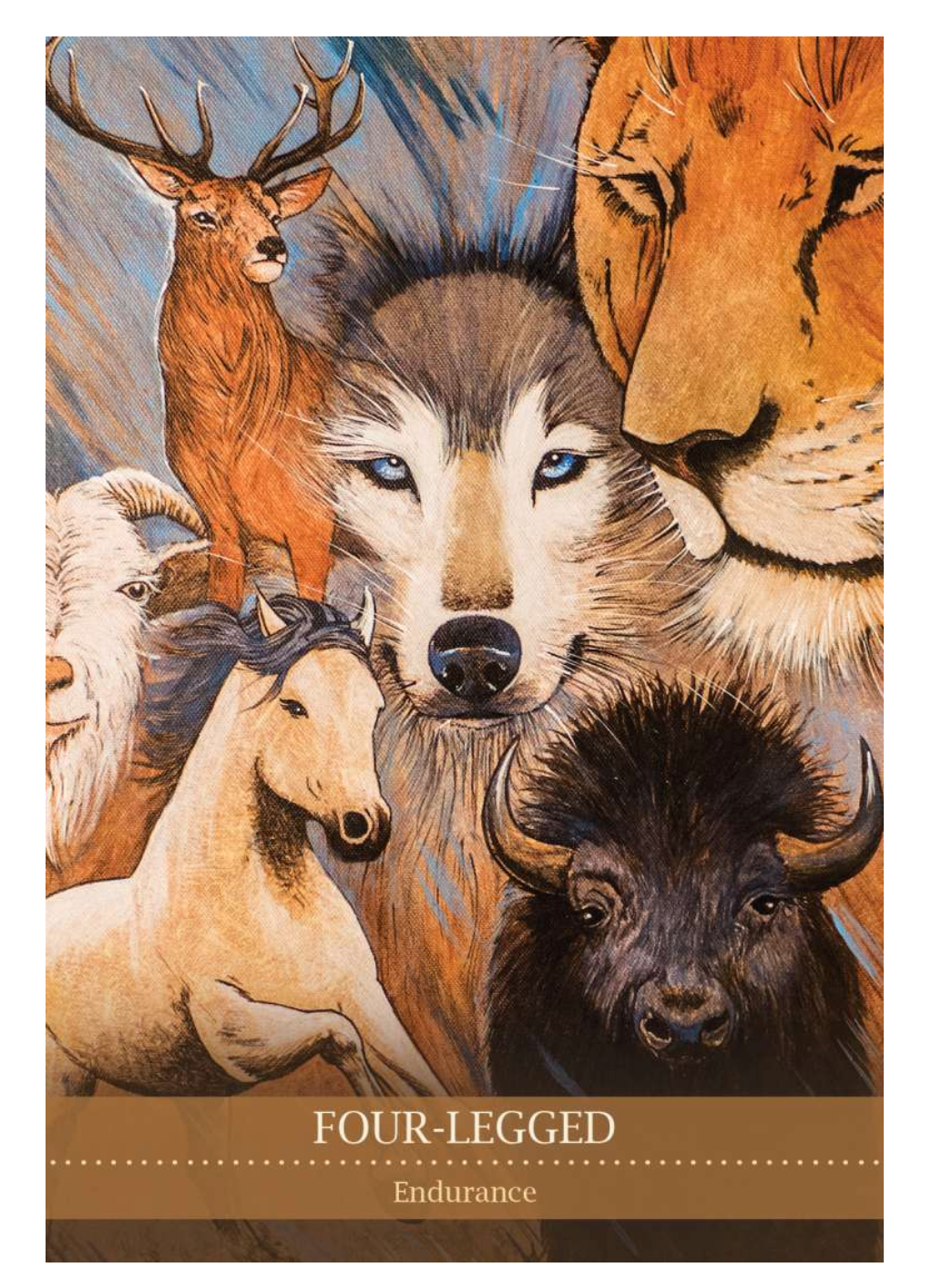 SHAMANIC MEDICINE ORACLE
