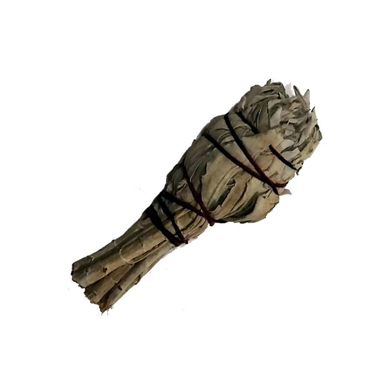 Smudge stick Torch White sage (Small)